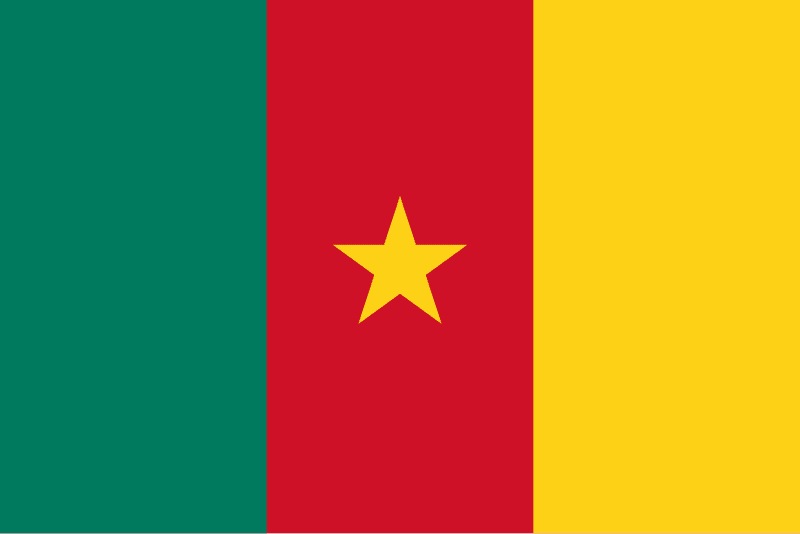 Logo for Etat du Cameroun 